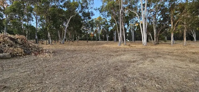 Jinjarra Homestead dog park photo 15