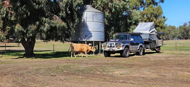 Jinjarra Homestead farm and camping photo 1