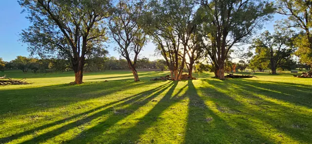 Jinjarra Homestead farm and camping photo 6