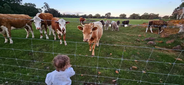 Jinjarra Homestead farm and camping photo 8