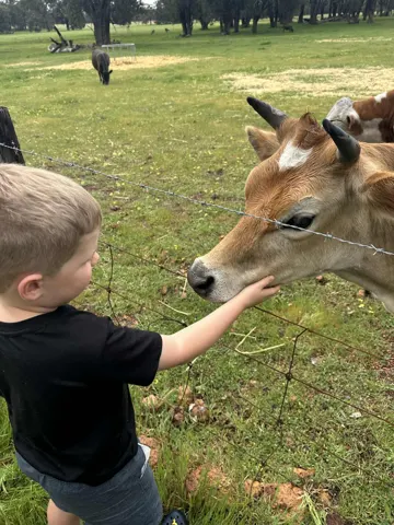 Jinjarra Homestead farm and camping photo 9