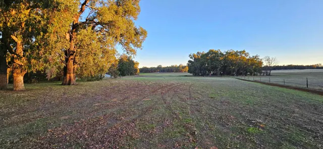 Jinjarra Homestead farm and camping photo 26