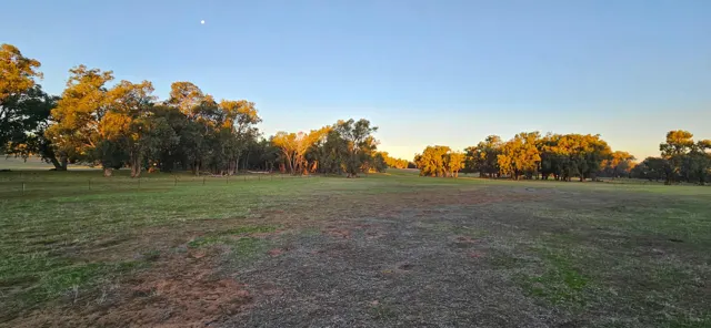 Jinjarra Homestead farm and camping photo 34