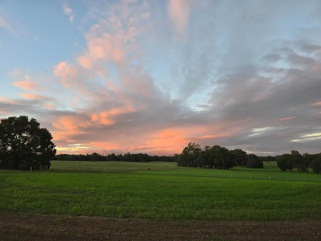 Jinjarra Homestead farm and camping photo 49