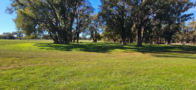 Jinjarra Homestead farm and camping photo 57