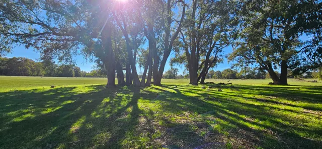 Jinjarra Homestead farm and camping photo 58