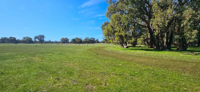 Jinjarra Homestead farm and camping photo 68