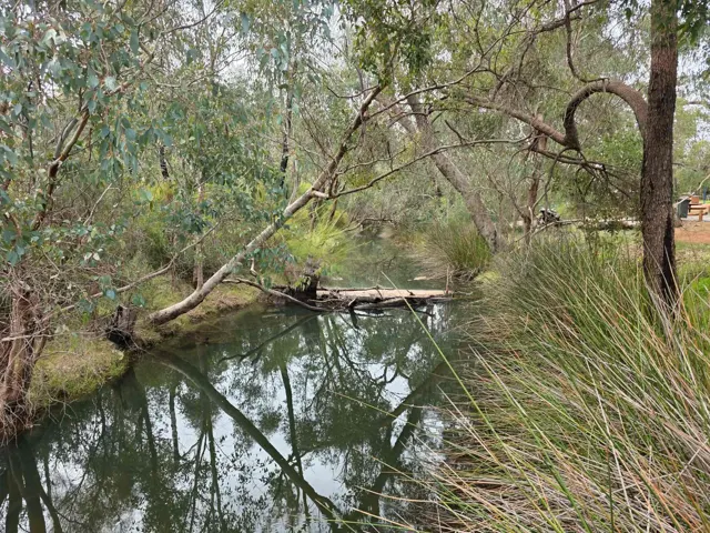 Jinjarra Homestead farm and camping photo 83