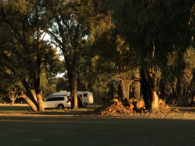 Jinjarra Homestead farm and camping photo 85