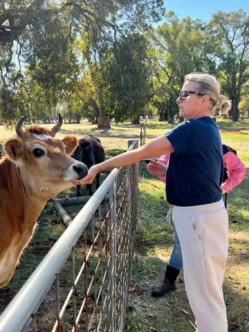 Jinjarra Homestead farm and camping photo 101