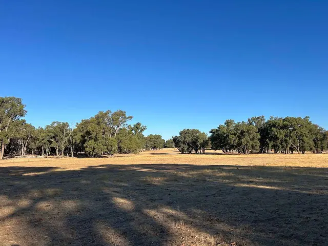 Jinjarra Homestead farm and camping photo 108