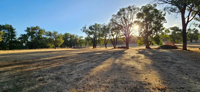 Jinjarra Homestead farm and camping photo 115