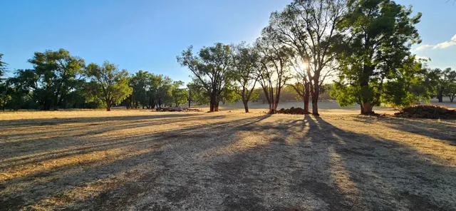 Jinjarra Homestead farm and camping photo 117