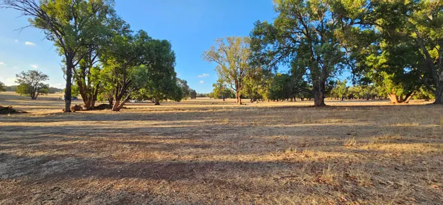 Jinjarra Homestead farm and camping photo 118