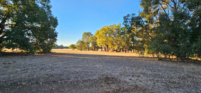 Jinjarra Homestead farm and camping photo 133