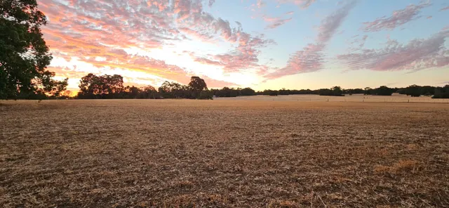 Jinjarra Homestead farm and camping photo 134