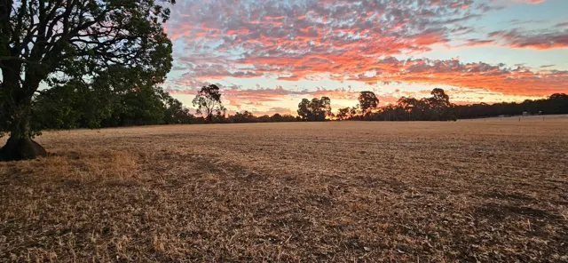Jinjarra Homestead farm and camping photo 135