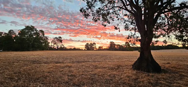 Jinjarra Homestead farm and camping photo 138