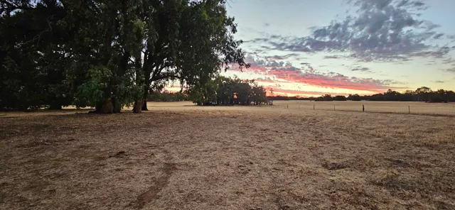 Jinjarra Homestead farm and camping photo 140