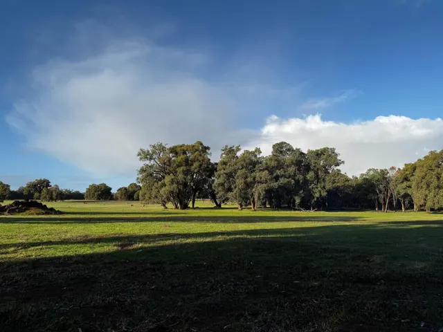 Jinjarra Homestead farm and camping photo 141